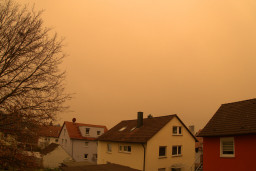 DSC03559 -1.jpg