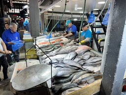 IMG_7198.jpeg