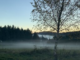 IMG_5252.jpeg