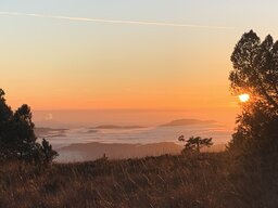 IMG_5267.jpeg