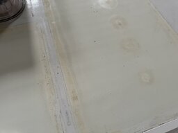 IMG_4344.jpeg