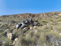 IMG_20241105_105458406.jpg