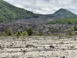 IMG_7743.jpeg