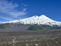 IMG_7786.jpeg