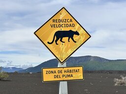 IMG_7801.jpeg