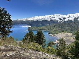 IMG_7818.jpeg