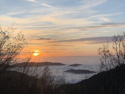 IMG_5298.jpeg