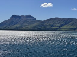 IMG_8193.jpeg