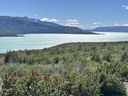 IMG_8202.jpeg