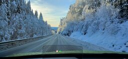20241120_113253.jpg