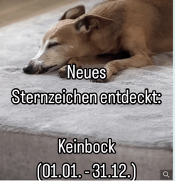 Bildschirmfoto 2024-11-26 um 06.37.31.png