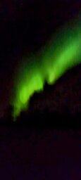 IMG-20241012-WA0019~2.jpeg