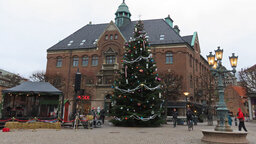 IMG_3469.jpg