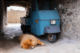 DSCF1293.jpg