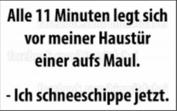 Schneeschippen.jpg