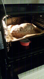 IMG-20210114-WA0043.jpeg
