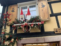 IMG_5432.jpeg
