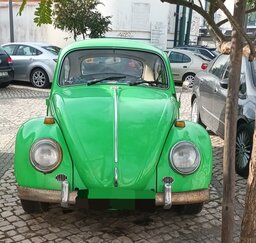20241215_101631.jpg