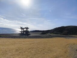 IMG_20241217_115800816.jpg
