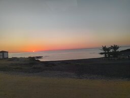 IMG_20241218_081551310.jpg