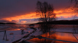 IMG_3786.jpg