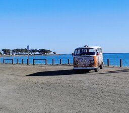 IMG_20241225_115836764~2.jpg