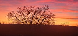 sunrise2.jpg