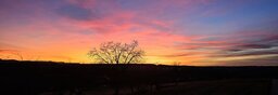 sunrise3.jpg