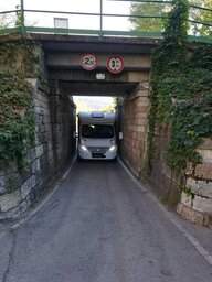 383.jpg