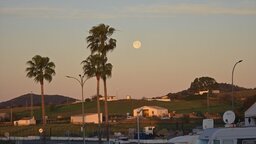 20250114_085307.jpg