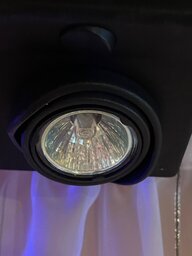 IMG_1938.jpeg