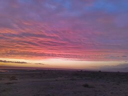 IMG_20250116_183012900.jpg