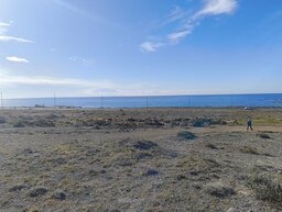 IMG_20250117_113443873.jpg