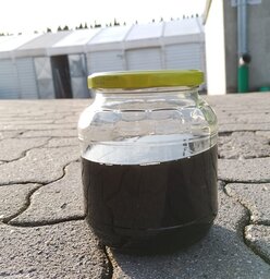 IMG-20250125-WA0001 (1).jpg