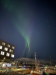 IMG_1732.jpeg