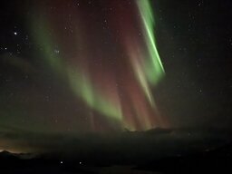 IMG_1861.jpeg