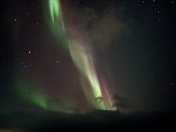 IMG_1862.jpeg