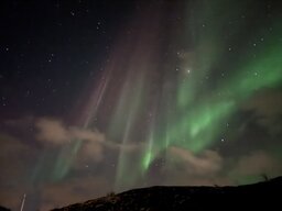 IMG_1813.jpeg