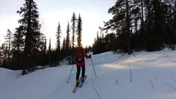 DSC07745.jpg