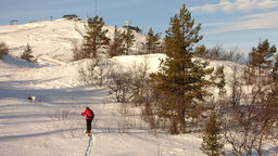 DSC07754.jpg
