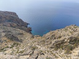 IMG_20250218_120423367.jpg