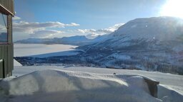 IMG_20250223_113453.jpg
