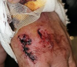 hand2.jpg