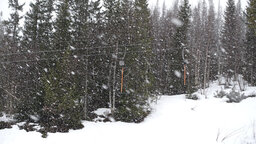 DSC00396.jpg