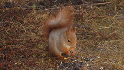 IMG_4756.jpg