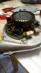 IMG-20200120-WA0004.jpg