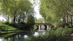 Natur - mitten in der Stadt