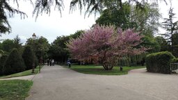 kleiner Garten
