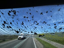 IMG_7192.JPG