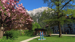 IMG_6204.jpg